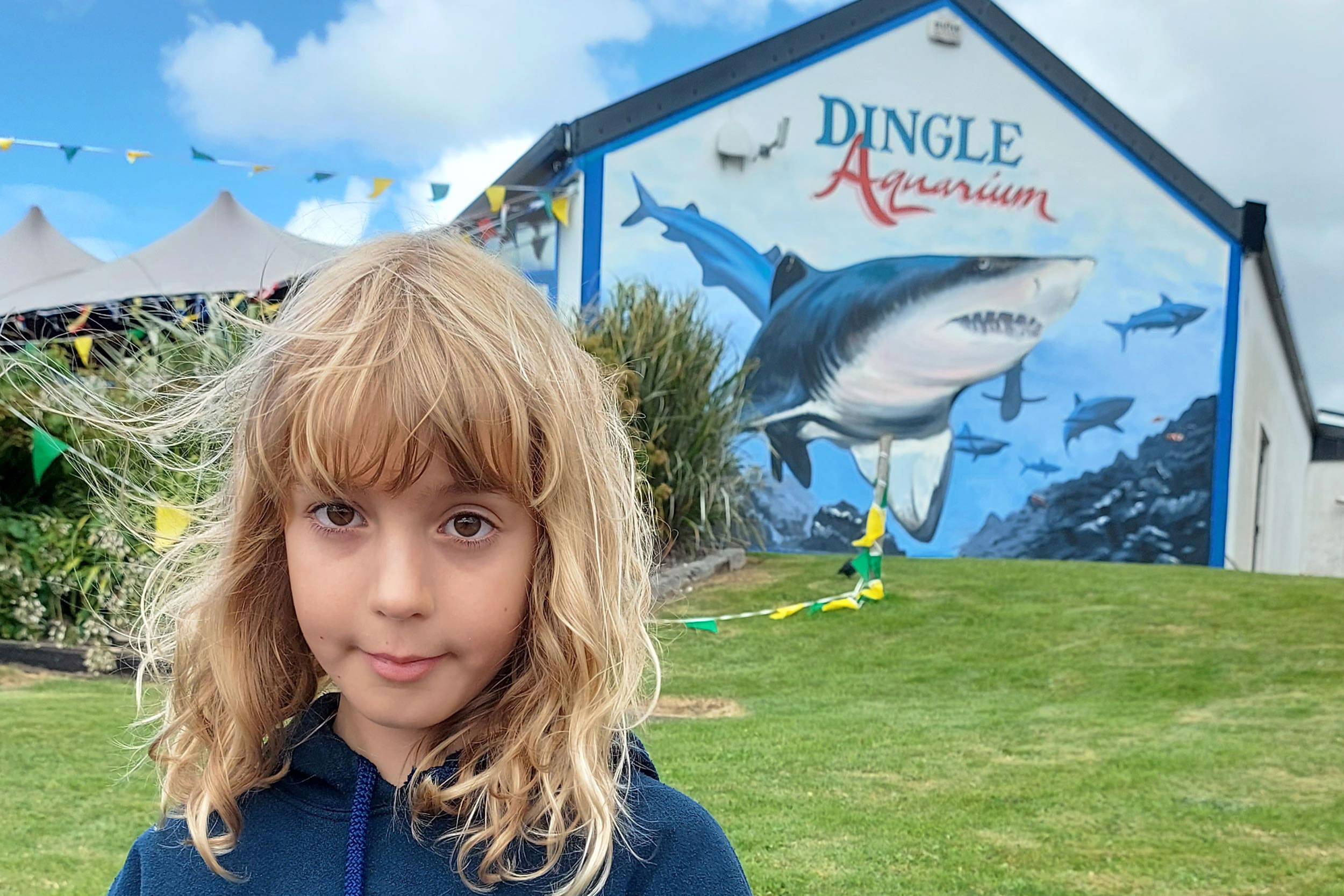 Dingle Aquarium, Ireland